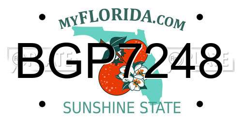 BGP7248 Florida License Plate