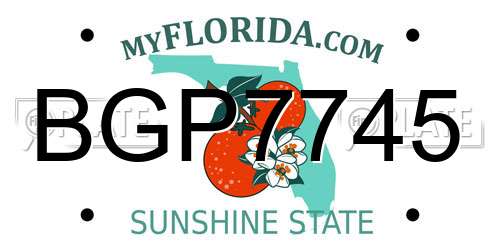 BGP7745 Florida License Plate