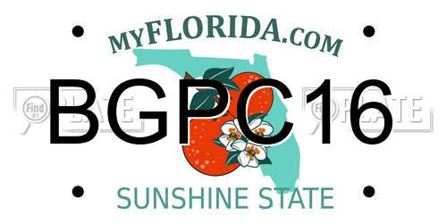BGPC16 Florida License Plate