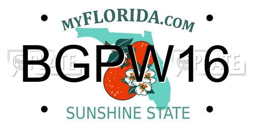 BGPW16 Florida License Plate