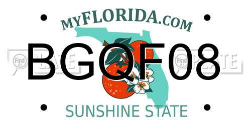 BGQF08 Florida License Plate