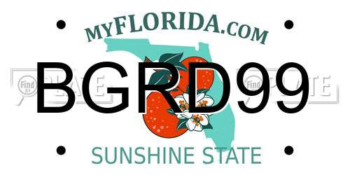 BGRD99 Florida License Plate