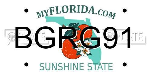 BGRG91 Florida License Plate