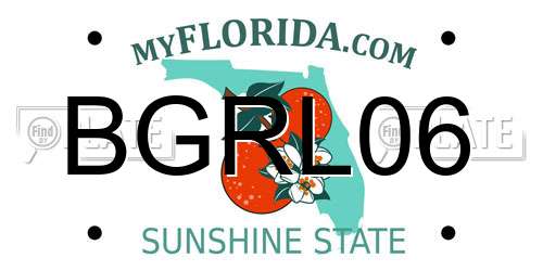 BGRL06 Florida License Plate