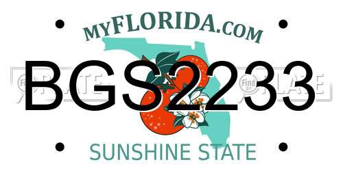 BGS2233 Florida License Plate
