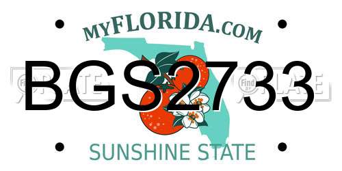 BGS2733 Florida License Plate