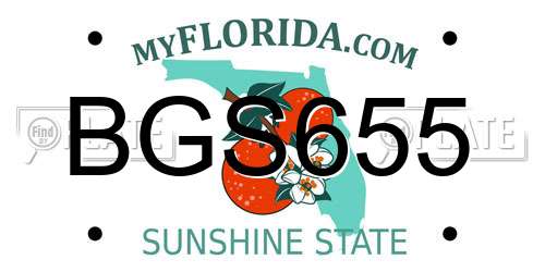 BGS655 Florida License Plate