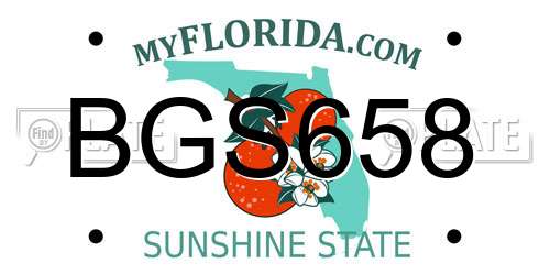 BGS658 Florida License Plate