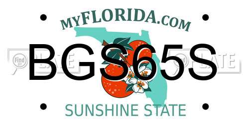 BGS65S Florida License Plate