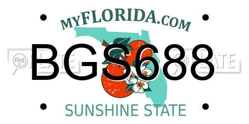 BGS688 Florida License Plate