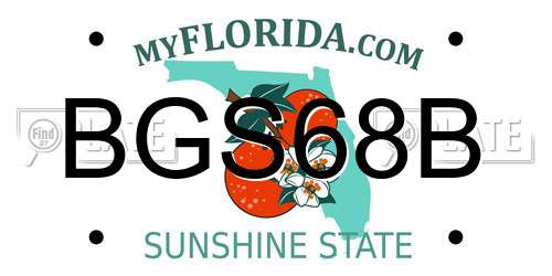 BGS68B Florida License Plate