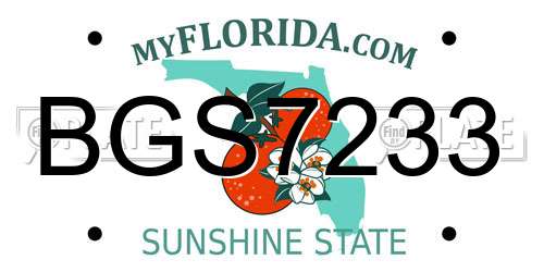 BGS7233 Florida License Plate