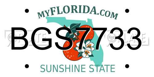 BGS7733 Florida License Plate