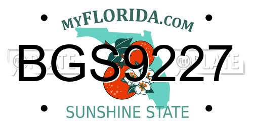 BGS9227 Florida License Plate