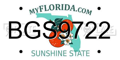 BGS9722 Florida License Plate