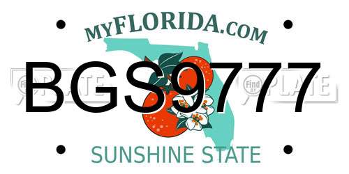 BGS9777 Florida License Plate
