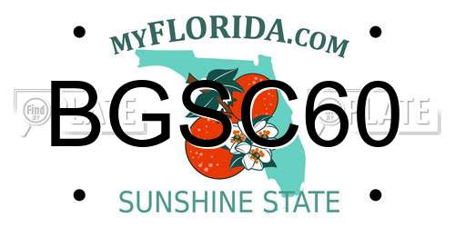 BGSC60 Florida License Plate