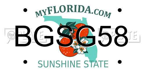 BGSG58 Florida License Plate