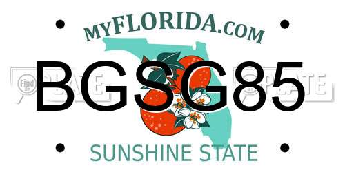BGSG85 Florida License Plate