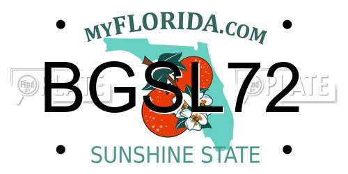 BGSL72 Florida License Plate