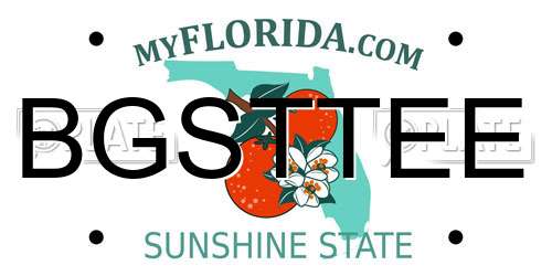 BGSTTEE Florida License Plate