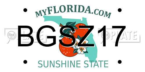 BGSZ17 Florida License Plate