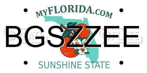 BGSZZEE Florida License Plate