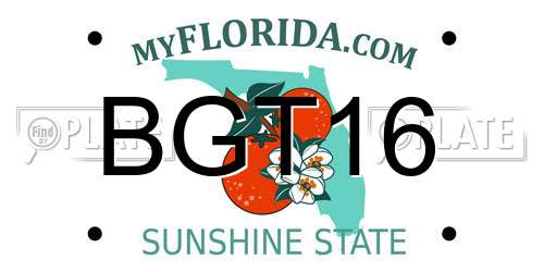 BGT16 Florida License Plate