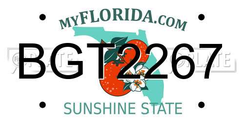 BGT2267 Florida License Plate