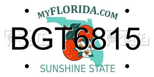 BGT6815 Florida License Plate