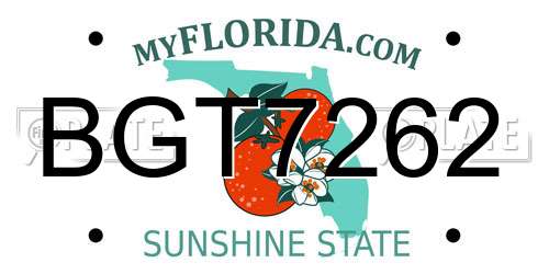 BGT7262 Florida License Plate