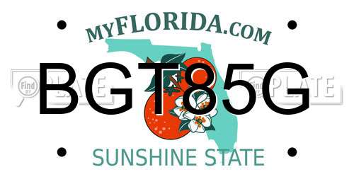 BGT85G Florida License Plate