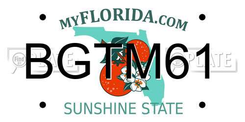 BGTM61 Florida License Plate