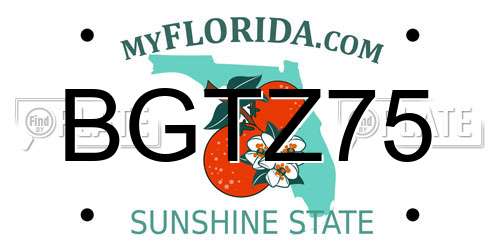 BGTZ75 Florida License Plate