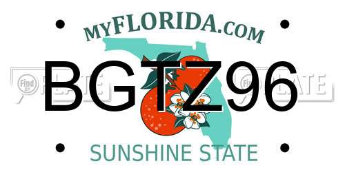BGTZ96 Florida License Plate