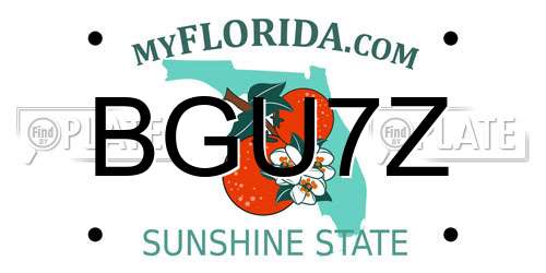 BGU7Z Florida License Plate