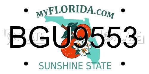 BGU9553 Florida License Plate