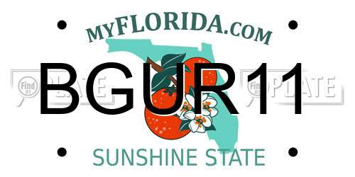 BGUR11 Florida License Plate