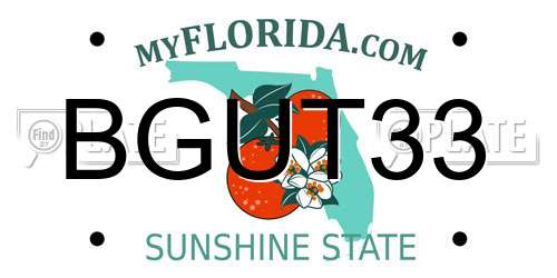 BGUT33 Florida License Plate
