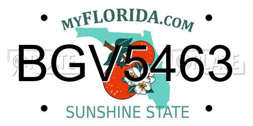 BGV5463 Florida License Plate