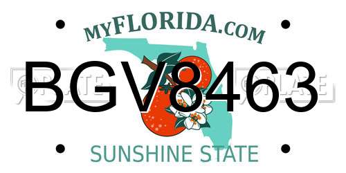 BGV8463 Florida License Plate