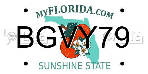 BGVY79 Florida License Plate