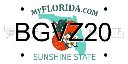 BGVZ20 Florida License Plate