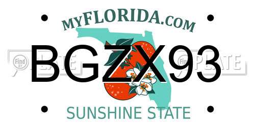 BGZX93 Florida License Plate
