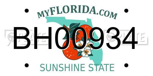 BH00934 Florida License Plate