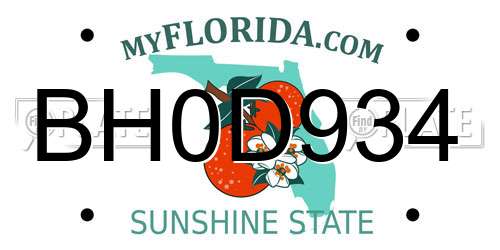 BH0D934 Florida License Plate