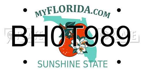 BH0T989 Florida License Plate