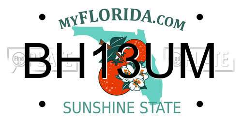 BH13UM Florida License Plate