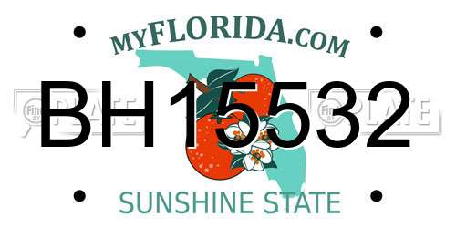 BH15532 Florida License Plate