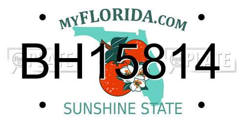 BH15814 Florida License Plate
